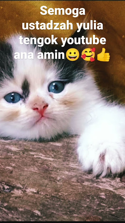 assalamu'alaikum semua ana kelas 3b