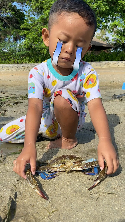 Awas Vano !!! Itu Kepiting 🦀😱 #kepiting #pantai