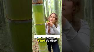 💧 Ormanda SUSUZ KALIRSAN Bunu Yap! 😱