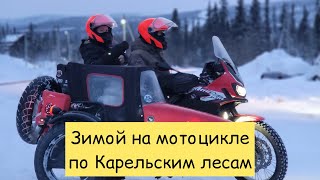 Зимой в Карелию на мотоцикле с собакой. Africa Twin Sidecar. Рускеала.