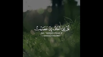 سورة الأنعام | القارئ عبدالله الموسى