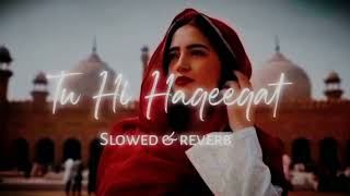Tu Hi Haqeeqat [Slowed + Reverb] Javed Ali | Tum Mile