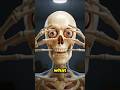 #darkfacts