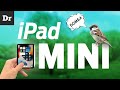 iPad mini: Почти iPad Pro