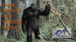 911 Bigfoot call Near Detroit Lake Oregon