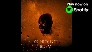 XS Project - BDSM