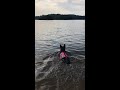 Ember &amp; Frankie Swim!