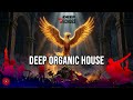 Placed Not Broken / DEEP ORGANIC HOUSE MUSIC( Official Music )  Deep Echoes / 112 BPM #aimusic
