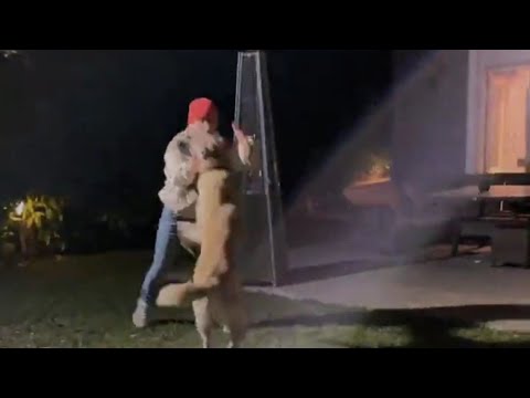 Reynmen Köpeğiyle oynuyor!