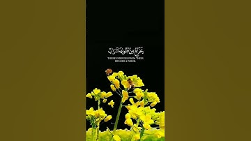 وَأَوْحَىٰ رَبُّكَ إِلَى النَّحْلِ_تلاوة خاشعة من سورة النحل _الشيخ خالد الجليل