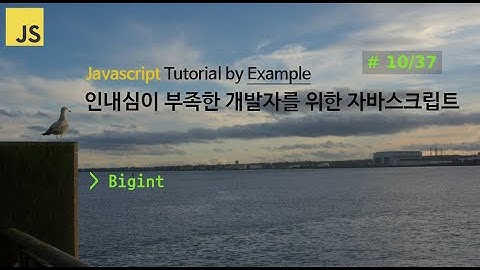 [10/37] Javascript, 인내심이 부족한 개발자를 위한 자바스크립트, 강의 강좌 비디오 튜토리얼 by Example,  Bigint