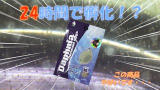 【新商品】孵化率90％の生き餌！ミジンコの卵を孵化させてみたら大量発生！？