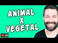CÉLULA ANIMAL E CÉLULA VEGETAL - DIFERENÇAS | Biologia com Samuel Cunha