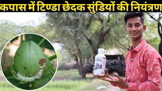 कपास में टिण्डा छेदक सुंडियो का नियंत्रण || kapas me sundi ka niyantran heliox insecticide agrostar