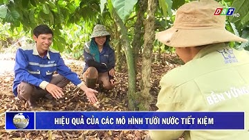 Hiệu quả các mô hình tưới nước tiết kiệm