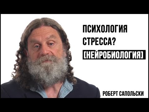 Психосоциальный стресс. Причины заболеваний. Роберт Сапольски