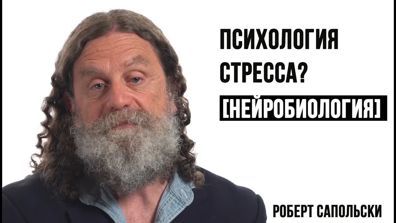 Психосоциальный стресс. Причины заболеваний. Роберт Сапольски - YouTube
