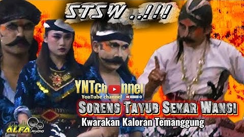 STSW ..!!! SORENG TAYUB SEKAR WANGI KWARAKAN KALORAN TEMANGGUNG 