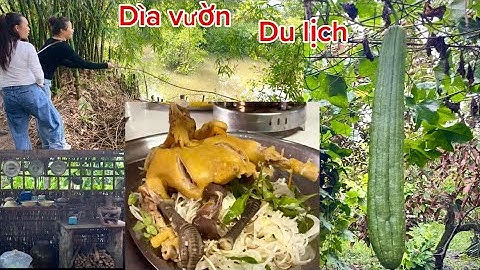 DU LỊCH VƯỜN TRÁI CÂY Ở CẦN THƠ CÓ GÌ ? Cần thơ vlogs