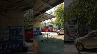#blitar bus pariwisata lewat jalan TGP kota Blitar