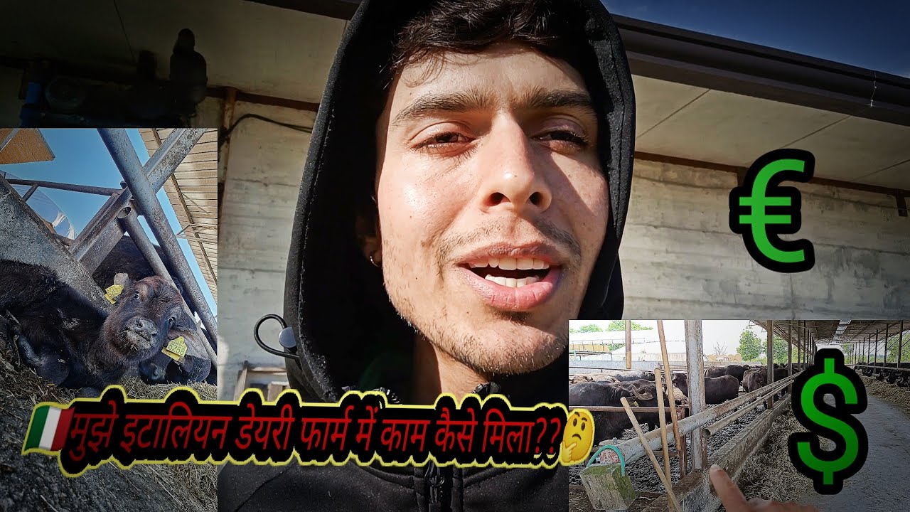 How i changed my job in italy | Italy Indian Vlogger