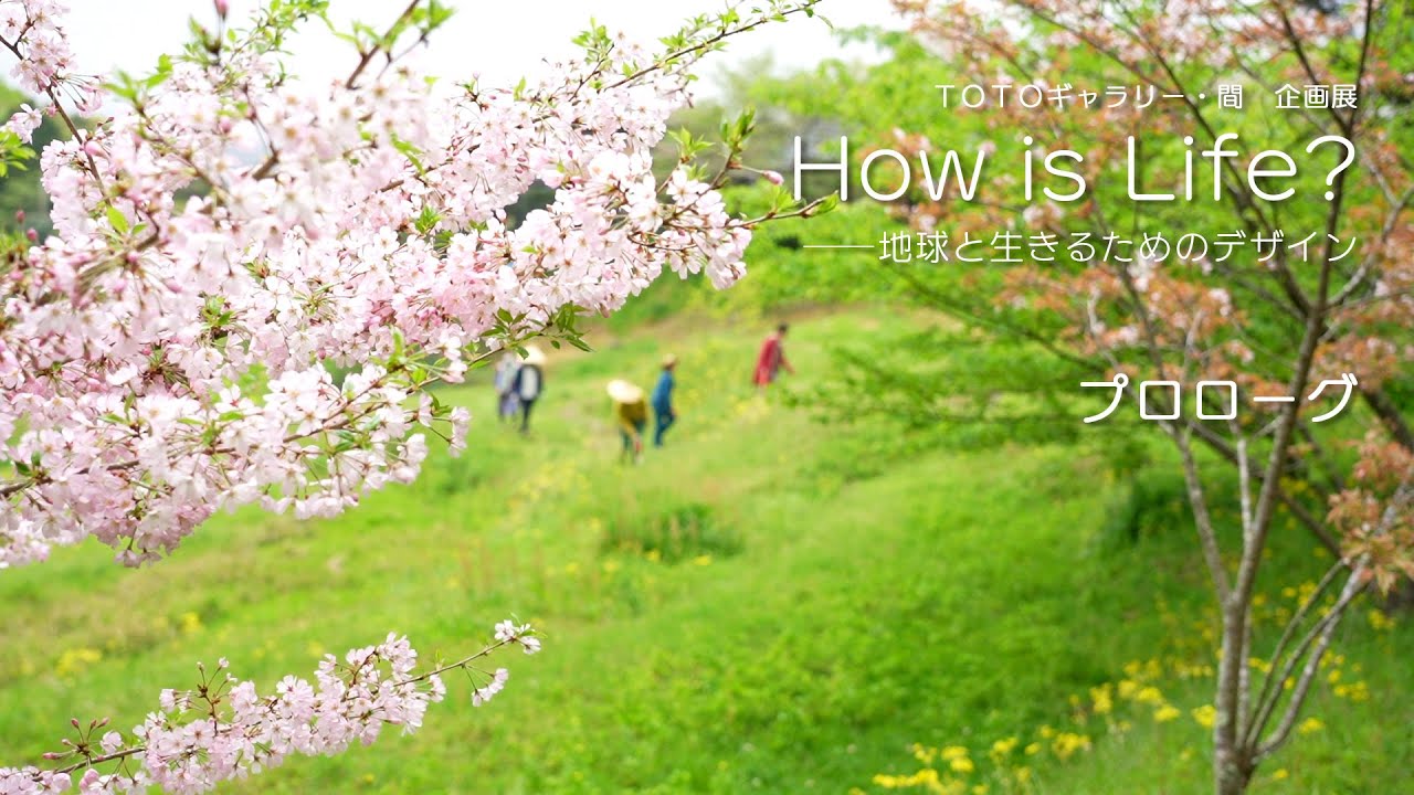 塚本聰「瞑想の中で」S100号油彩、超巨大画、何百ページの小説＃寺田コレクション TOTOギャラリー・間 企画展 How is Life? ――地球と生きるための