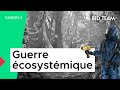 Guerre cosystmique