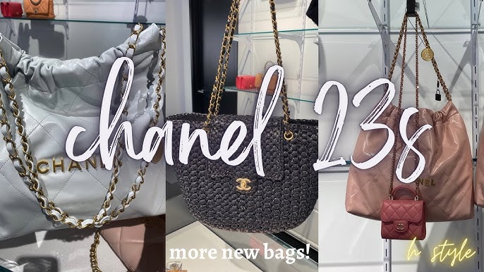 CHANEL FALL-WINTER 2022/23 PRE-COLLECTION (22B) REVIEW: Colors, Price, Mod  Shots 💗 香奈儿秋冬22B包评 