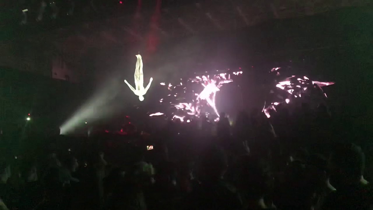 Laurent Garnier [maceo plex & gabriel ananda solitary daze