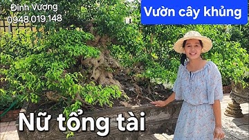Chiêm ngưỡng vườn cây rất đẹp của nữ tổng tài yêu cây