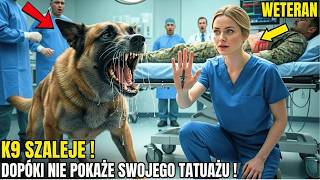 Pies K9 siedział przy ciele komandosa SEAL przez 6 godzin — aż młoda pielęgniarka pokazała tatuaż