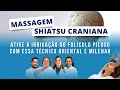MASSAGEM SHIATSU CRANIANA - Ative a Irrigação do Folículo Piloso com essa Técnica Oriental e Milenar