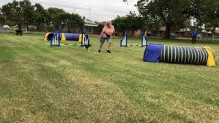 Beginners week 5
