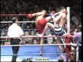 Peter aerts greatest knockouts