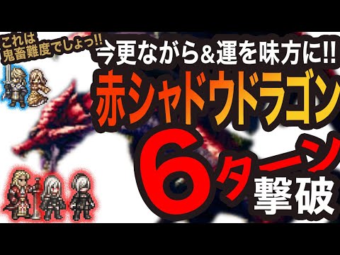 【オクトラ大陸の覇者】赤竜6ターン撃破っ!!運を味方にっ!!!