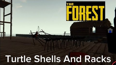 Turtle Shells and Racks | The Forest: Creative