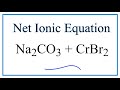Ionic Equations and Solubility Concepts