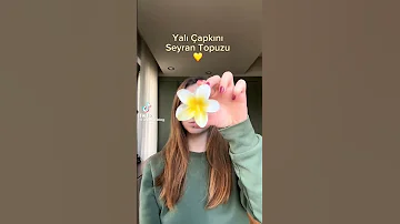 طريقة لفة شعر سهلة بمشبك الشعر على شكل وردة وعلى طريقة سايران مسلسل فريد 