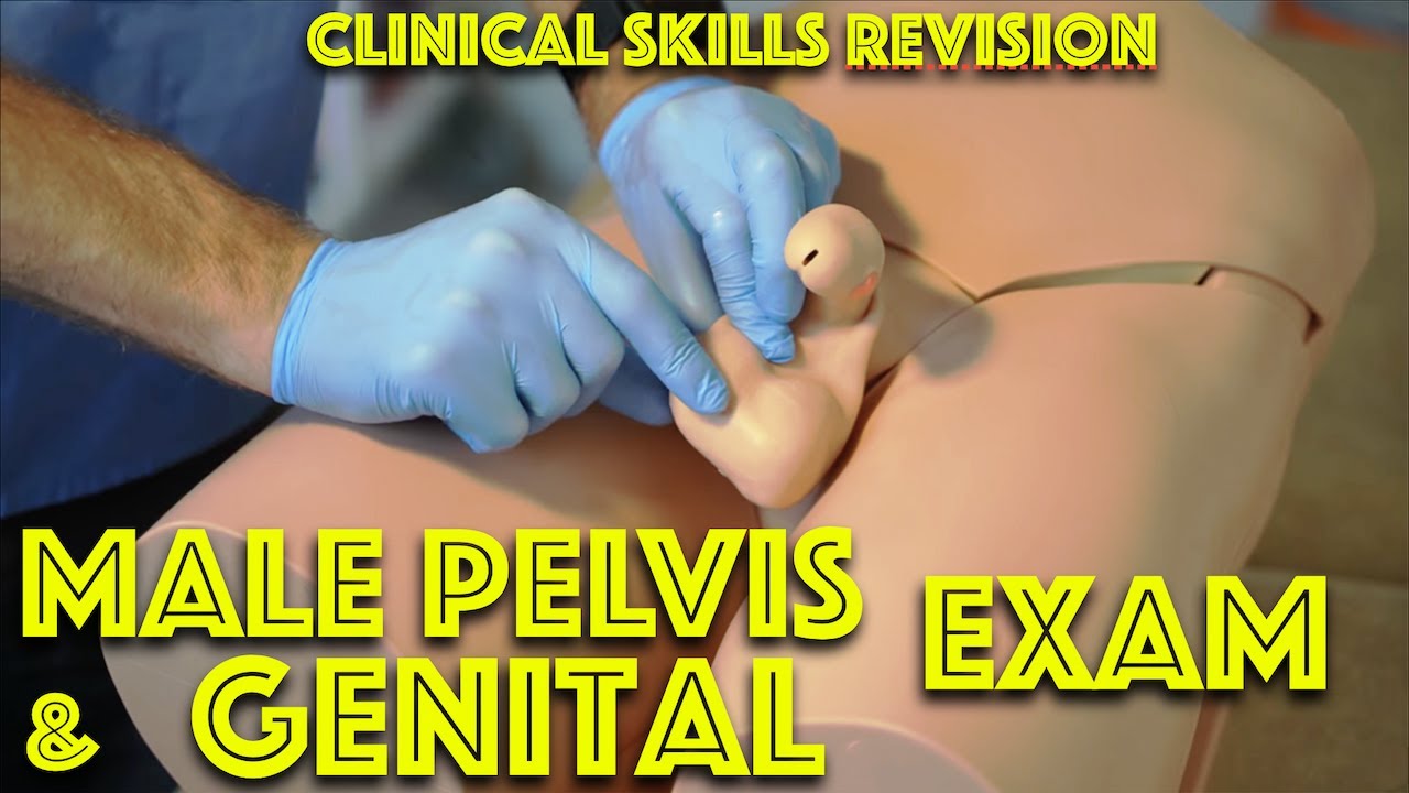 Male Genital Examination - Penis and Testicle Exam - Medical School  Clinical Skills Revision - YouTube