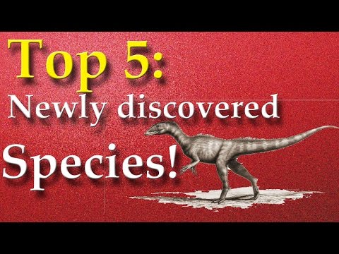 top-5:-newly-discovered-species!