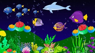 Lullaby for Babies To Go To Sleep With Fish  Baby Sleep Music Lullaby Song  @reallullabymusic