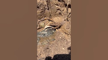 what happens to your Leach field when you don’t pump your septic tank for a long time ￼