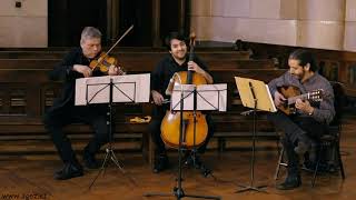 Invierno de Vivaldi. Violin, cello y guitarra. Músicos para matrimonios en Chile.
