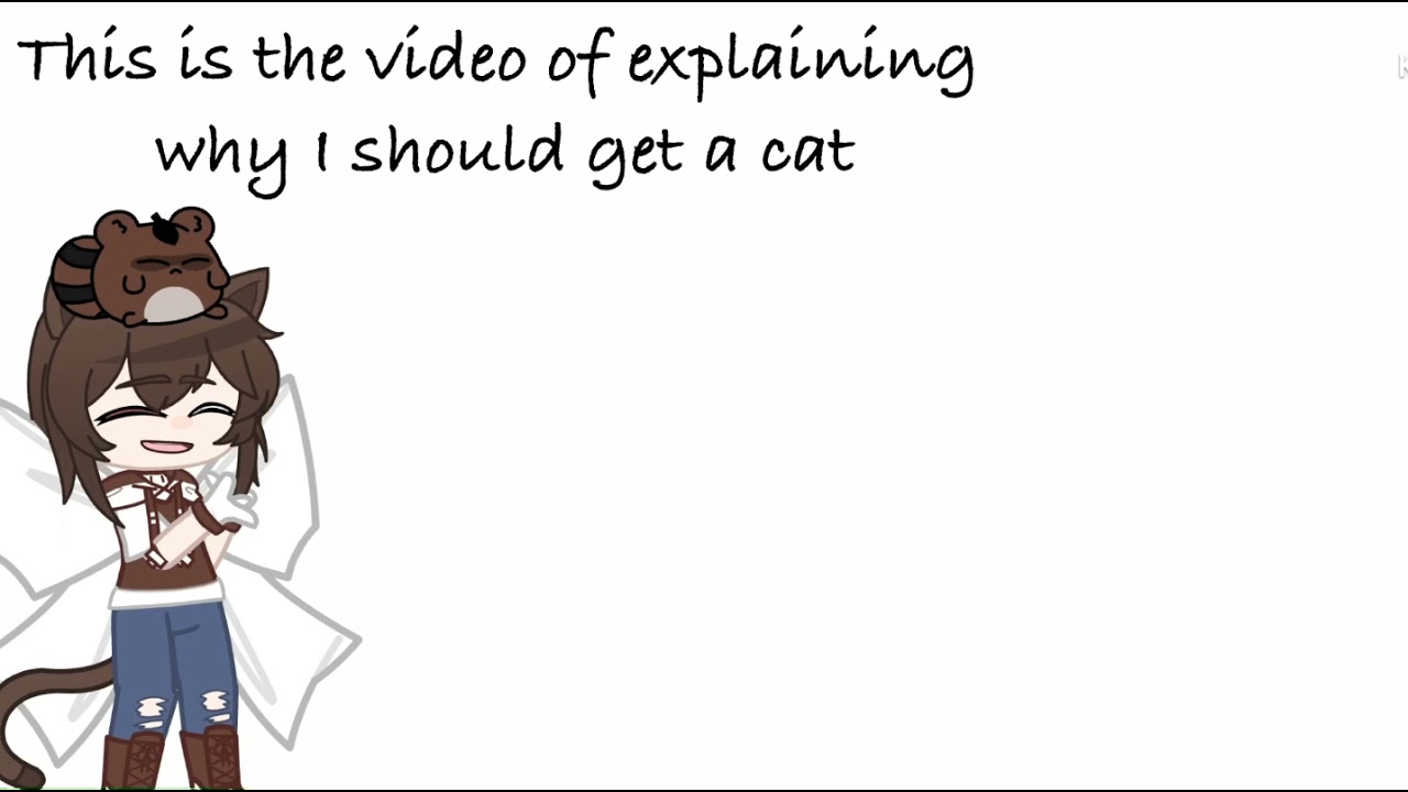 Reasons why i should get a cat presentation for my parents read