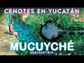 🌎🧜‍♂️CENOTES CERCA de MERIDA! ✅ MUCUYCHÉ + HACIENDA | MUY BARATO! GUÍA COMPLETA por @sebitastrip