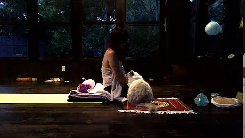 Chanting with Lola on a Summers Eve