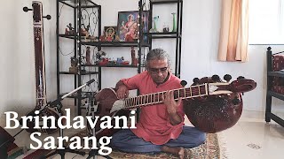 [Snippets of Jod] Raga Brindavani Sarang - Raga Alapana
