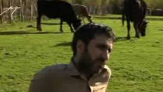 Avni Polat 2010 Son Klibi Bingöl Online Ahmetkide