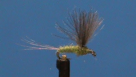Beginner Fly Tying a Blue Wing Olive (BWO) with Jim Misiura