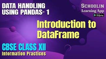 Introduction to DataFrame | Class 12 Information Practices | CBSE Class  12 Complete Course IP